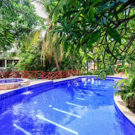 Pajaro de fuego vacation rentals Sayulita
