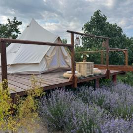 Gradina YoSoyLavanda, hotell sihtkohas Islaz