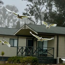 Eaglehawk Park Canberra, hotel in Canberra