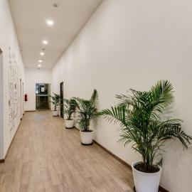 Townhouse Gandhi Hall