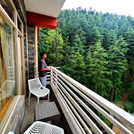 Decent Stays, hotel en Shimla