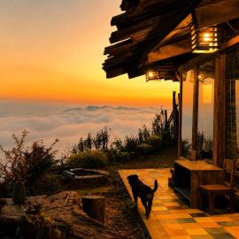 Lưng Núi Mountain Stay