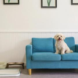 yangpyeong beulleosseom pet spa pension, hotel en Yangpyeong