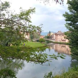 Barilotto 16