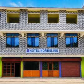 Hotel Norbuling, hotel en Dirāng