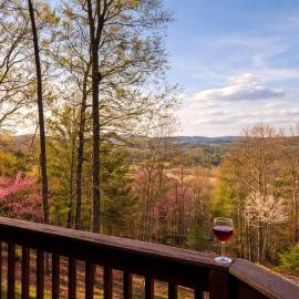 Incredible Mountain Cabin for a Memorable Family Getaway in Nature near Blairsville, Georgia