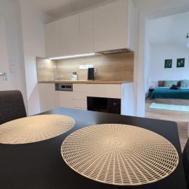 Apartmán Palackého sady - pohoda v srdci města