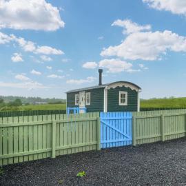 Spring Meadow Shepherds Hut