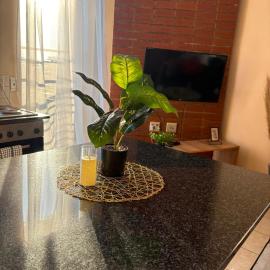 Johannesburg apartment