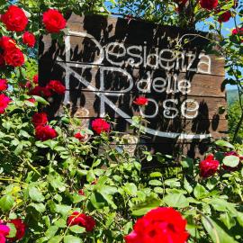 La Residenza delle Rose, hotel in Viggianello