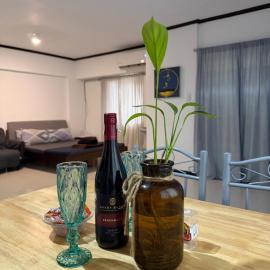 Airport Layover Studio Condo by A&C