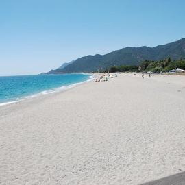 Rocce e Ulivi