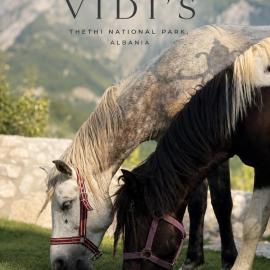 Vidis Chalet Boutique Hotel, Hotel in Theth