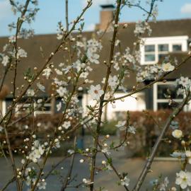 Maison Bienvenue, hotel em Lierop
