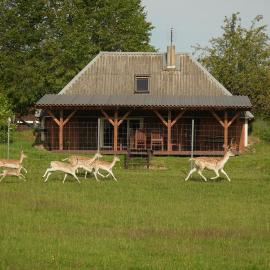 Jaukus Pirties Namelis Vienkiemyje, hotel en Šakiniai