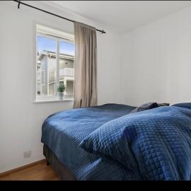 cosy appartment for either couple or single - Near to Airport Oslo central