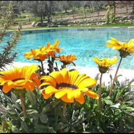 Villa Casaglia 1-apartment With Shared Pool, hotel a Calenzano