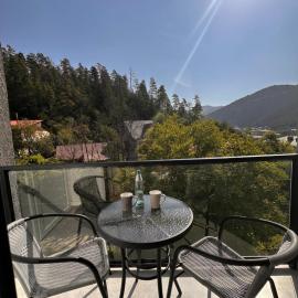 Luxury Residence Likani, hotelli kohteessa Borjomi
