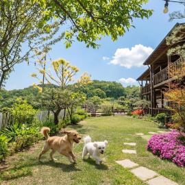 Gapyeong Art Pension