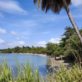 Serenia Lucéenne, la douceur de vivre martiniquaise
