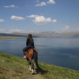 Alinur Horse Tours