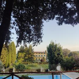 Fattoria i Tribbi