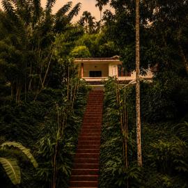 Lush Lagoon Homestay、Ambalavayalのホテル