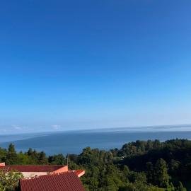 Botanic sea view