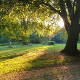 Ferienwohnung im Wald