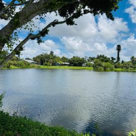 Venice Lake House