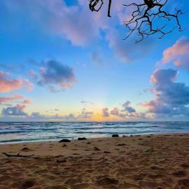 The Nalu Suite at Outrigger Kauai Beach Resort