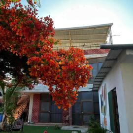 Villa Sol casa de campo, ideal para familias, hotel in Tumbes