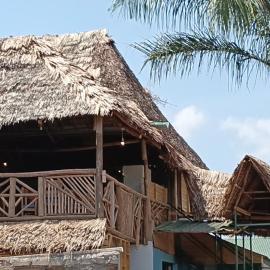 Kilimanjaro Simba Lodge, hotel din Moshi