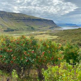 Tranquil Countryside Retreat in Hvalfjordur, Iceland, hotel en Saurbær