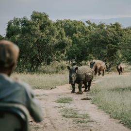 Rhino's Rest Private Luxury Villa