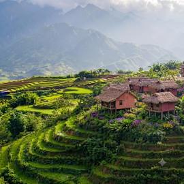 Sapa Rosie House & Spa - Mountain Retreat