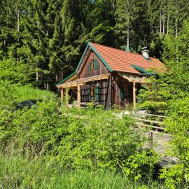 Lärchenhütte mit Infrarotsauna