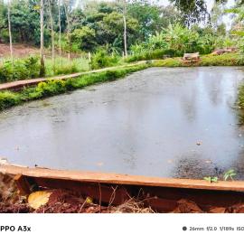 Marine waters retreat, hotel en Embu