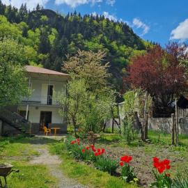 Lentexi Inn