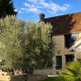 Charmante maison au cœur d'un haras, hotel i Fleuré