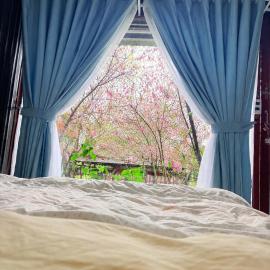 Đồi Hoa Đào cafe & homestay