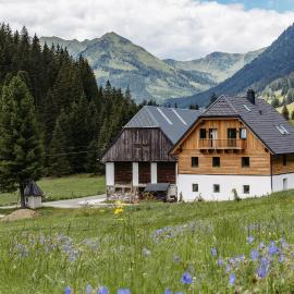 Das Detox Almhaus, hotel em Pusterwald