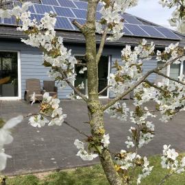Vakantiewoning Alura