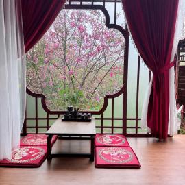 Đồi Hoa Đào cafe & homestay