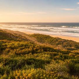 White Sands Self-catering units, hotel em Wilderness