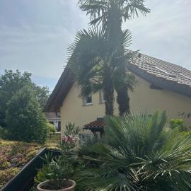 Ferienwohnung Mühlberg