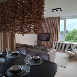 Apartment with skyline view