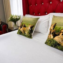 Universtas Guest House, hotelli kohteessa Bloemfontein
