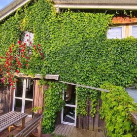 Grünes Sundchalet, hotel a Stralsund