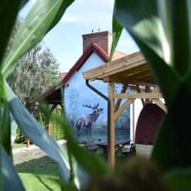 Agroturystyka u Ani